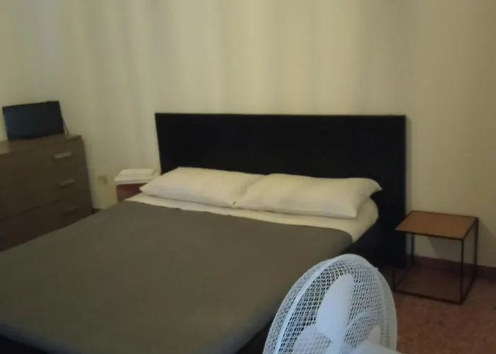 Camere King